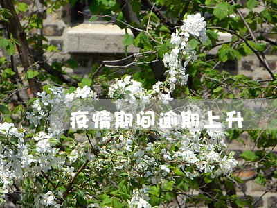 疫情期间逾期上升 疫情期间逾期上升