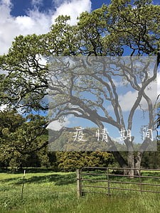 疫情期间逾期不纳入征信时间多久 疫情期间逾期不纳入征信时间多久