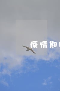 疫情期间逾期中信信用卡