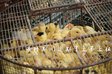 疫情期间逾期了上不上征信 疫情期间逾期了上不上征信