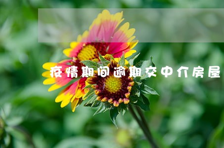 疫情期间逾期交中介房屋 疫情期间逾期交中介房屋