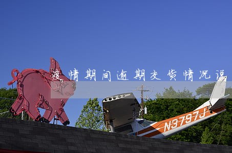 疫情期间逾期交货情况说明 疫情期间逾期交货情况说明