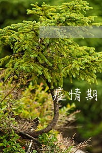 疫情期间逾期人数 疫情期间逾期人数