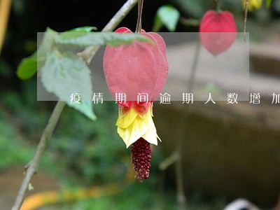 疫情期间逾期人数增加 疫情期间逾期人数增加