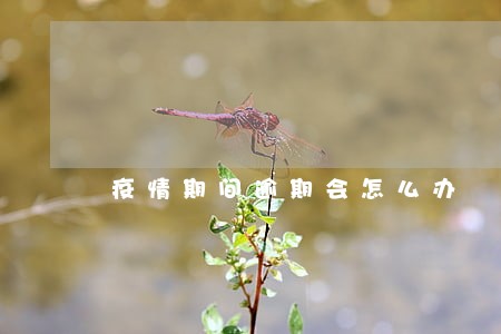 疫情期间逾期会怎么办 疫情期间逾期会怎么办