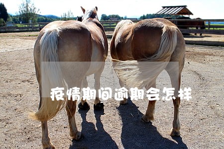 疫情期间逾期会怎样 疫情期间逾期会怎样