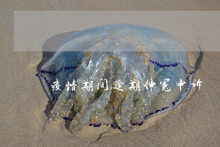 疫情期间逾期伸冤申诉 疫情期间逾期伸冤申诉