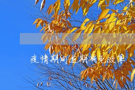 疫情期间逾期减免政策 疫情期间逾期减免政策