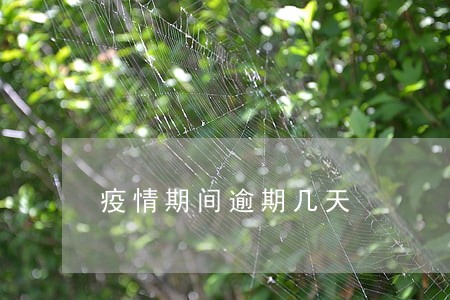 疫情期间逾期几天 疫情期间逾期几天