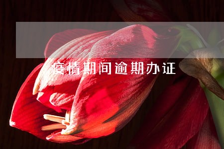 疫情期间逾期办证 疫情期间逾期办证
