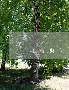 疫情期间逾期协商分期 疫情期间逾期协商分期