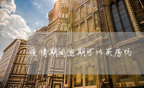 疫情期间逾期可以买房吗 疫情期间逾期可以买房吗