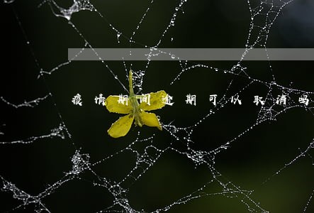 疫情期间逾期可以取消吗 疫情期间逾期可以取消吗