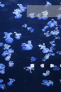 疫情期间逾期可以解除吗 疫情期间逾期可以解除吗