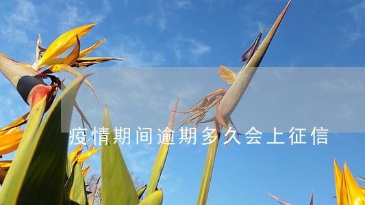 疫情期间逾期多久会上征信 疫情期间逾期多久会上征信