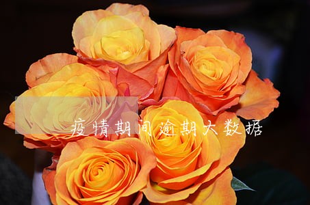 疫情期间逾期大数据 疫情期间逾期大数据