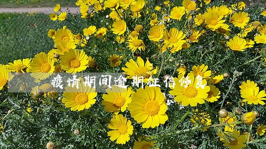 疫情期间逾期征信修复 疫情期间逾期征信修复