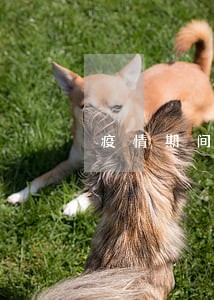 疫情期间逾期政策 疫情期间逾期政策
