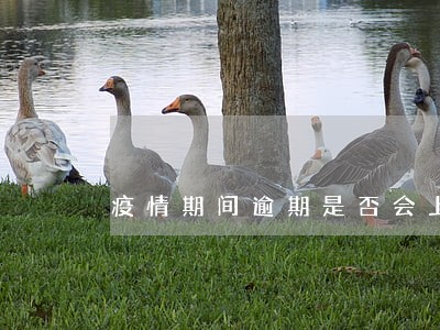 疫情期间逾期是否会上报 疫情期间逾期是否会上报