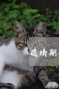 疫情期间逾期未年检车 疫情期间逾期未年检车