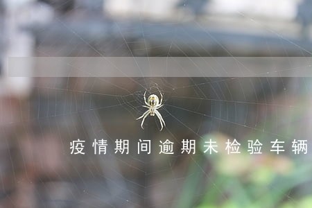 疫情期间逾期未检验车辆 疫情期间逾期未检验车辆