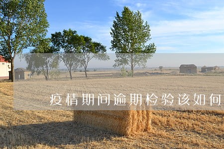 疫情期间逾期检验该如何处理