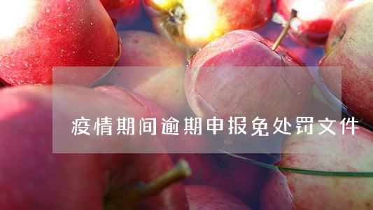 疫情期间逾期申报免处罚文件 疫情期间逾期申报免处罚文件