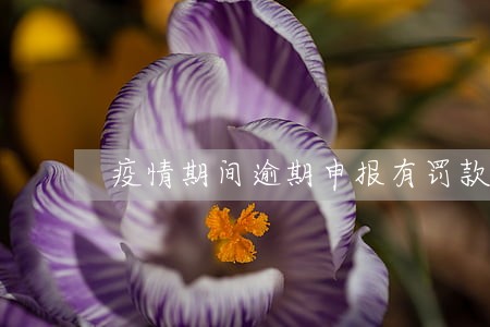 疫情期间逾期申报有罚款吗 疫情期间逾期申报有罚款吗