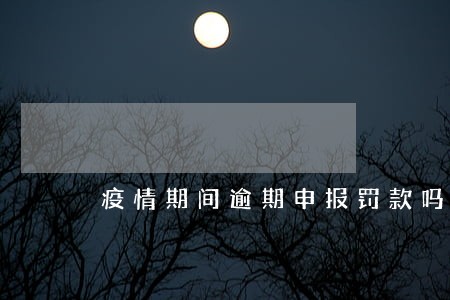 疫情期间逾期申报罚款吗 疫情期间逾期申报罚款吗
