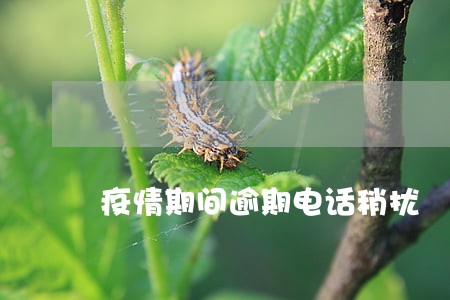 疫情期间逾期电话稍扰 疫情期间逾期电话稍扰