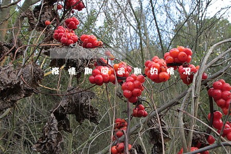 疫情期间逾期的情况 疫情期间逾期的情况