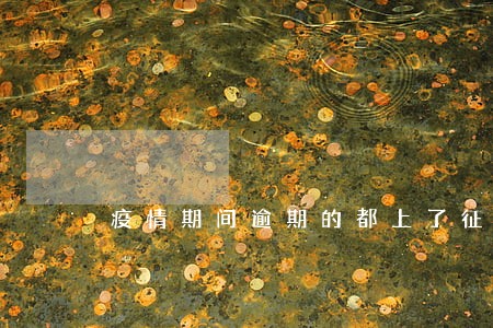 疫情期间逾期的都上了征信 疫情期间逾期的都上了征信