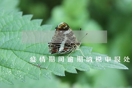 疫情期间逾期纳税申报处罚 疫情期间逾期纳税申报处罚