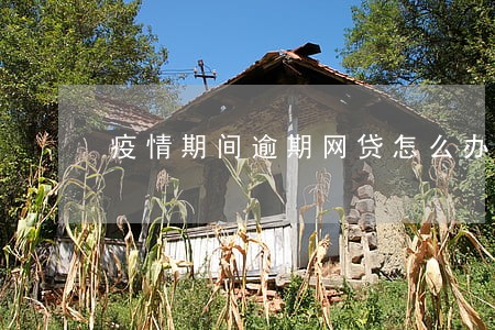 疫情期间逾期网贷怎么办 疫情期间逾期网贷怎么办