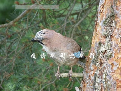 疫情期间逾期罚息 疫情期间逾期罚息