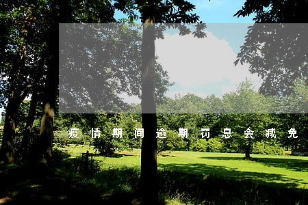 疫情期间逾期罚息会减免吗 疫情期间逾期罚息会减免吗