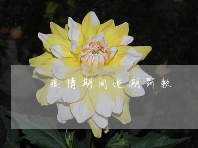 疫情期间逾期罚款 疫情期间逾期罚款