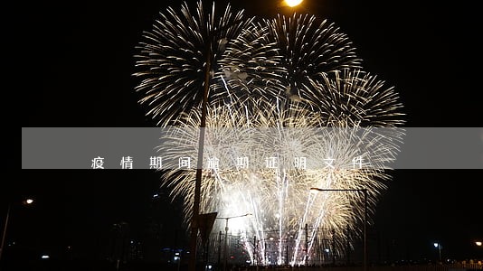 疫情期间逾期证明文件