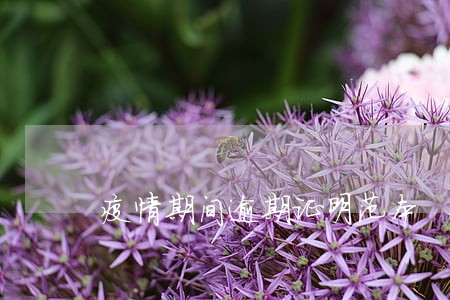 疫情期间逾期证明范本
