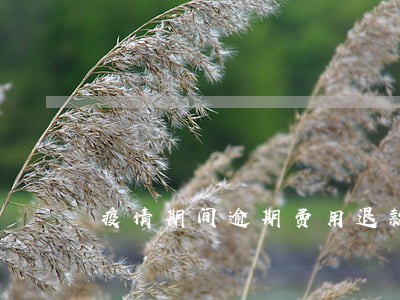 疫情期间逾期费用退款 疫情期间逾期费用退款