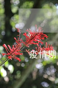 疫情期间逾期车检 疫情期间逾期车检