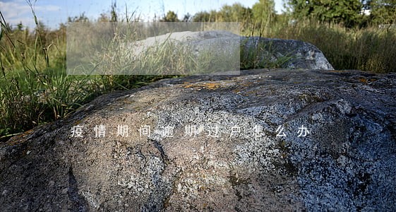疫情期间逾期过户怎么办 疫情期间逾期过户怎么办