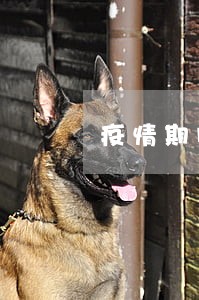 疫情期间逾期还不起了 疫情期间逾期还不起了