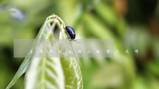 疫情期间逾期还款情况说明 疫情期间逾期还款情况说明