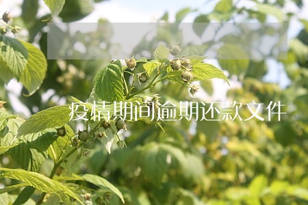 疫情期间逾期还款文件 疫情期间逾期还款文件