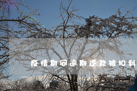 疫情期间逾期还款被扣利息 疫情期间逾期还款被扣利息