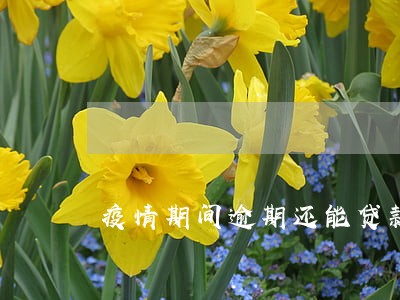 疫情期间逾期还能贷款吗 疫情期间逾期还能贷款吗