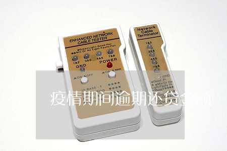 疫情期间逾期还贷金额 疫情期间逾期还贷金额