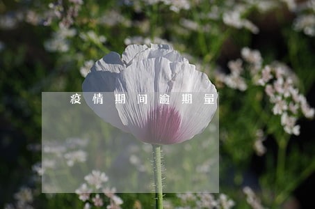疫情期间逾期量 疫情期间逾期量