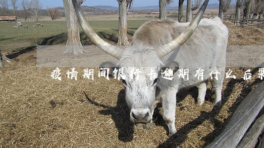 疫情期间银行卡逾期有什么后果 疫情期间银行卡逾期有什么后果